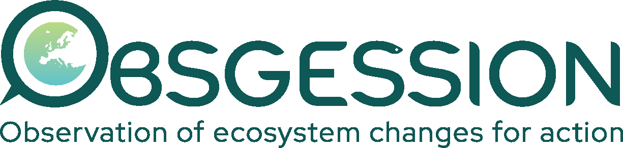 Obsgession